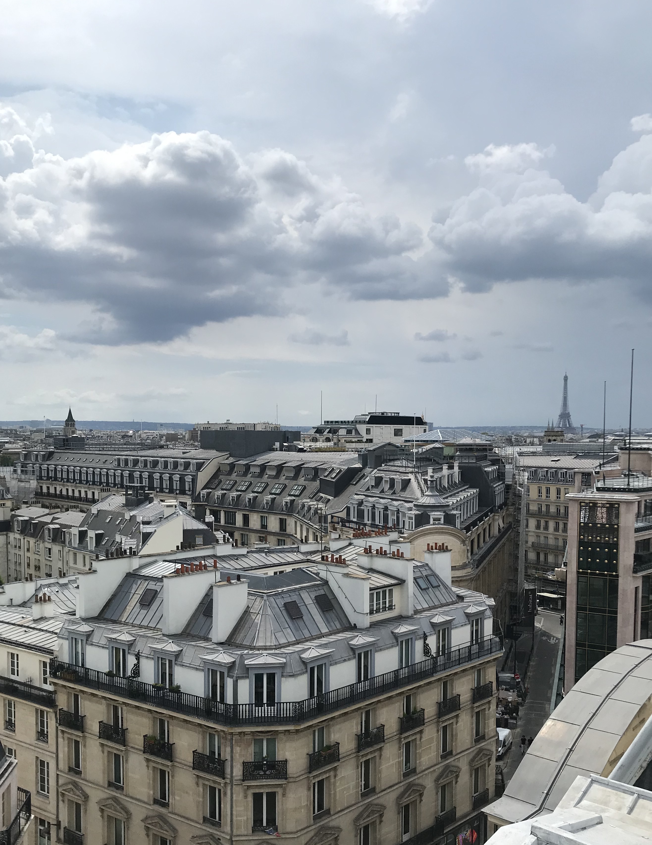 15_View from the site, 126 Rivoli © Franklin Azzi