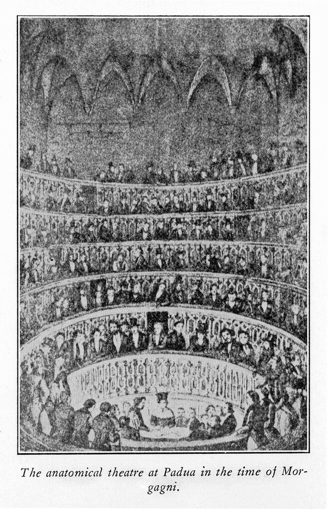 16_Interior of the anatomical theatre, Padoue, Italy © DR