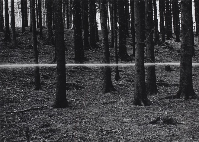 32 Roman Signer Large Forest With Bullet 1978