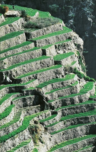 37 Canyon Walls of Jebel Akhdar in Oman National Geographic 1981