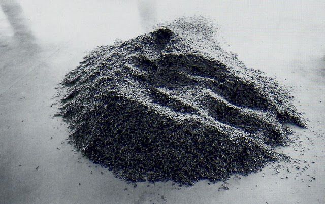 17 Souffle de feuilles feuilles de buis 1976 Giuseppe Penone