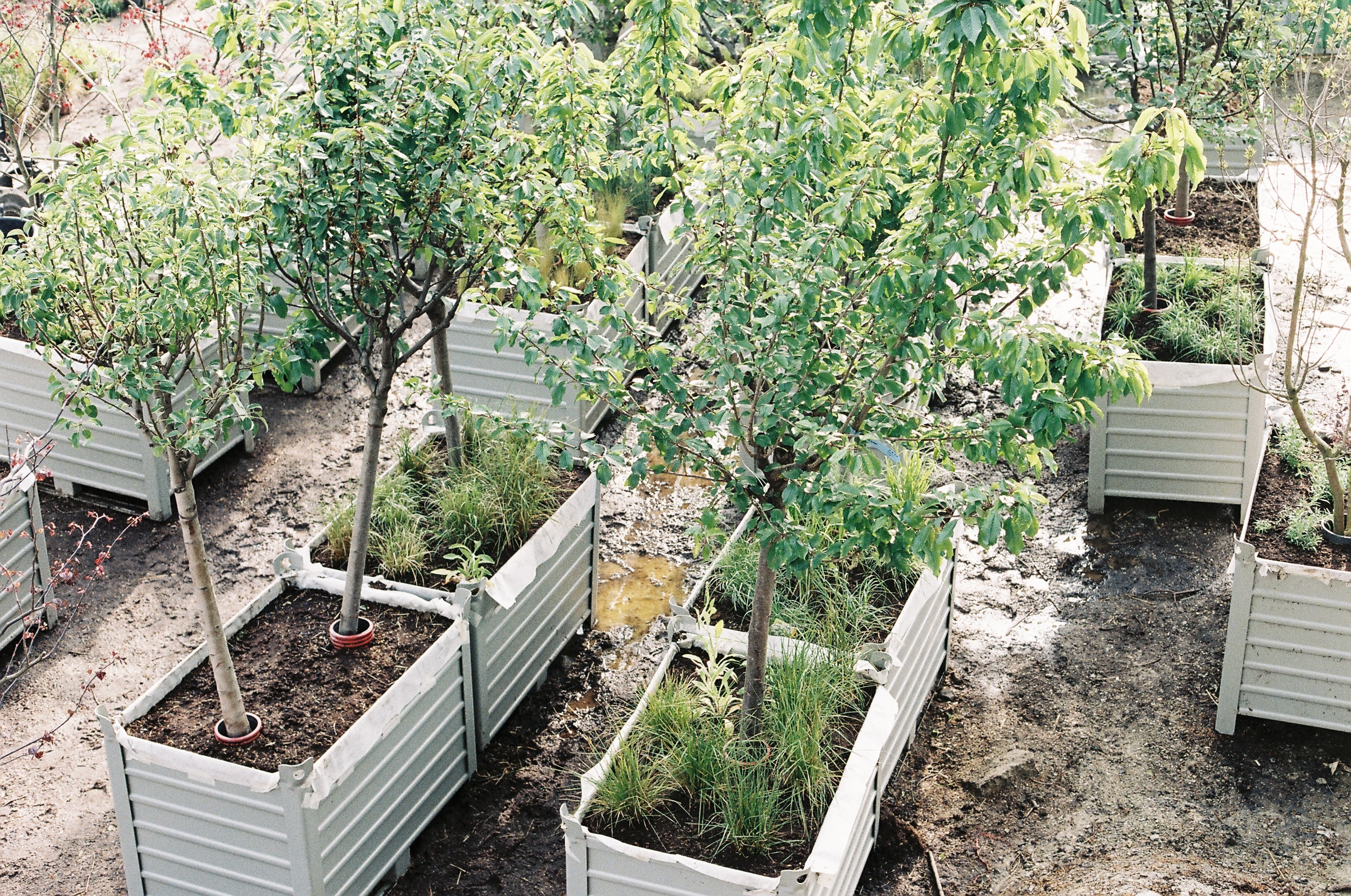 5 Franklin Azzi Berges de Seine DR