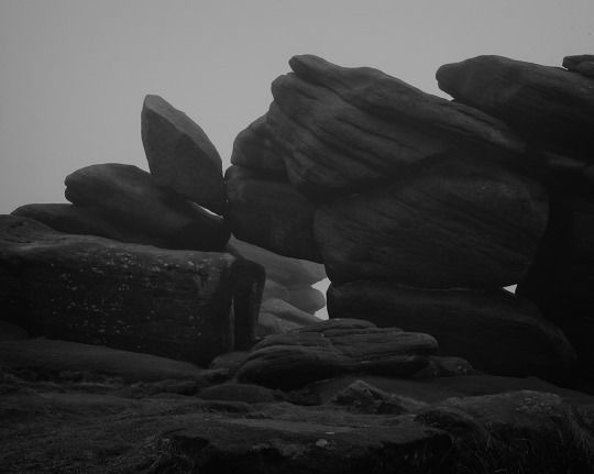 41 As a Wonder Al Brydon