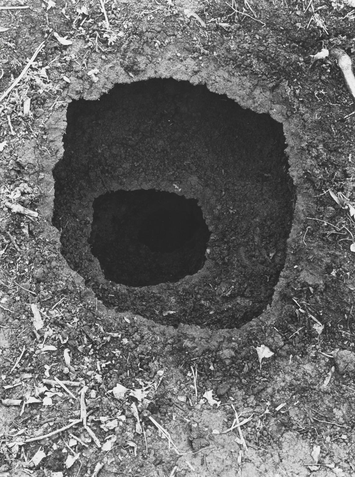8 Holes Middleton Woords Yorkshire 1981 Andy Goldsworthy