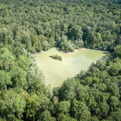 26 Beaupassage Le lac Bleu dans la forêt de Carnelle au sein du parc naturel Oise PNR Oise