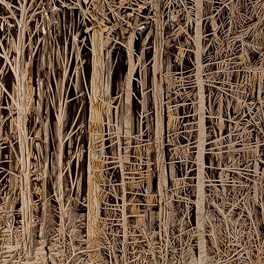 28 Beaupassage Forêt Palatine 2019 2020 Eva Jospin