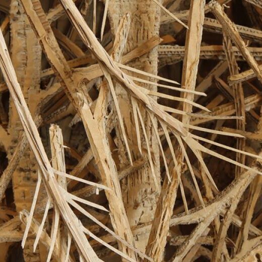 29 Beaupassage Forêt Eva Jospin