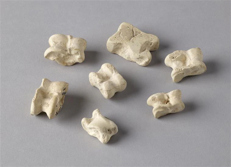 11 Osselet antiquités grecques étrusques et romaines Musée du Louvre