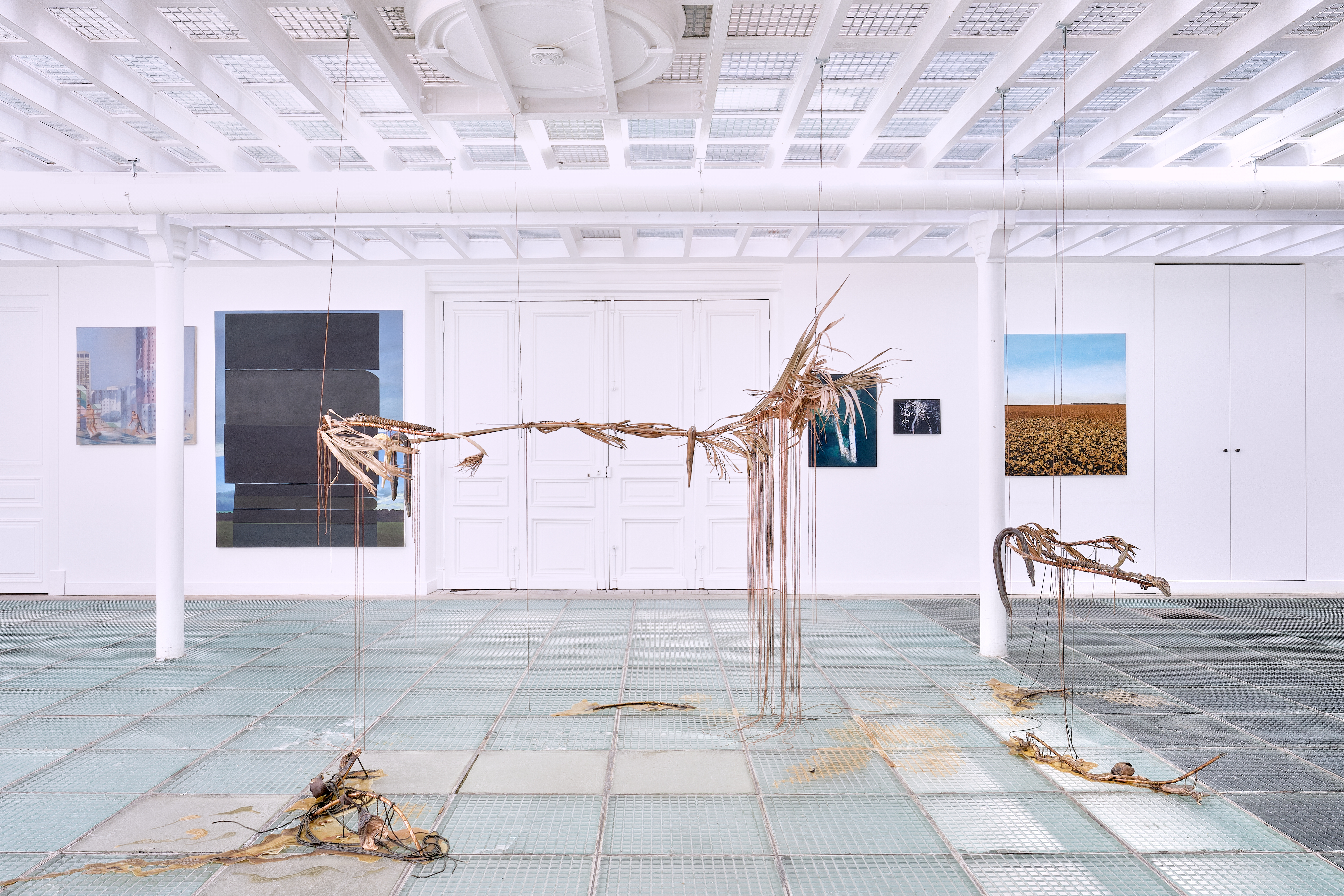 03 FONDS DE DOTATION FRANKLIN AZZI HORIZONS lucbertrand DSCF9059