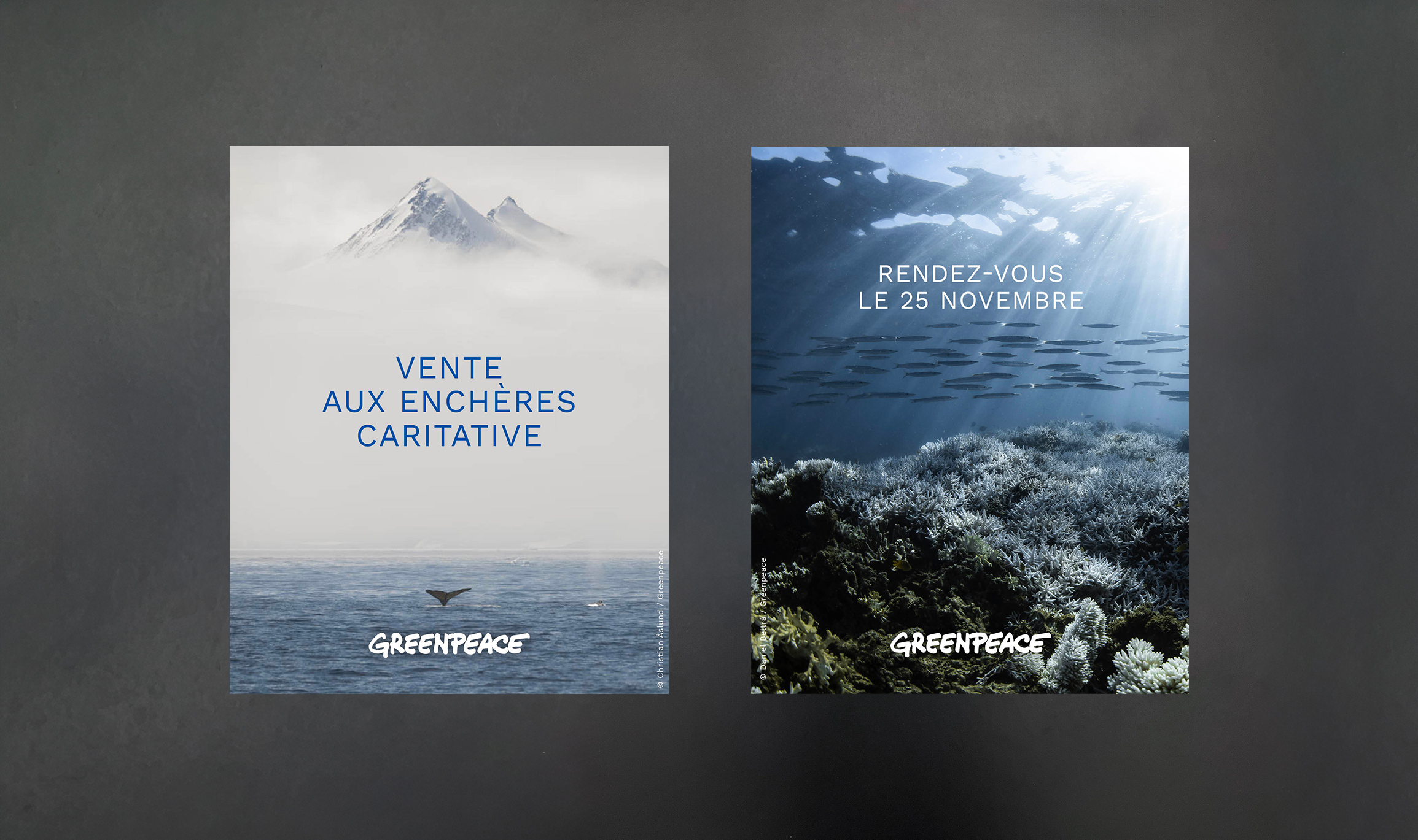 Vente aux enchères caritative - Greenpeace France 2025