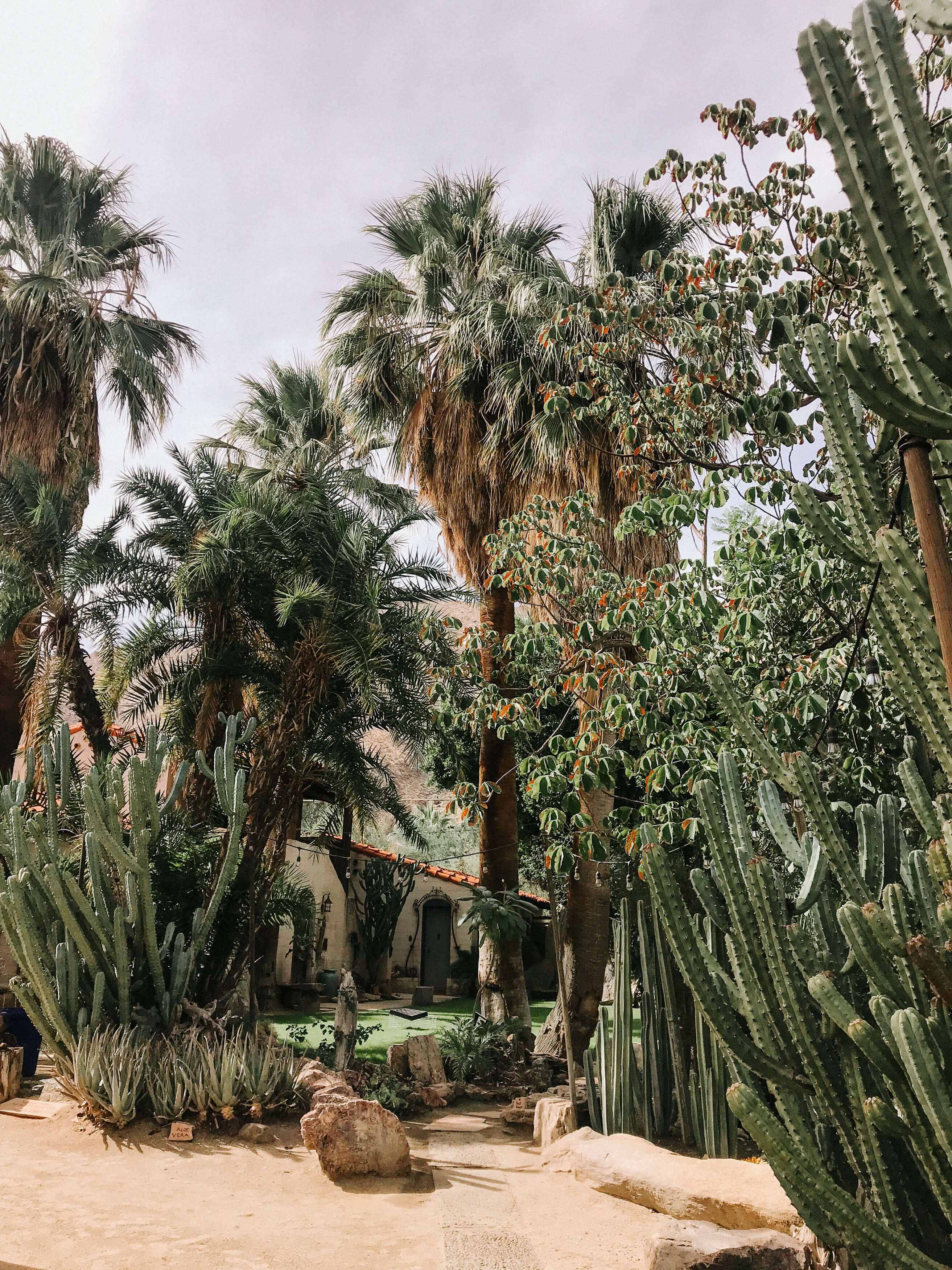 13 Moorten Botanical Garden Founders House