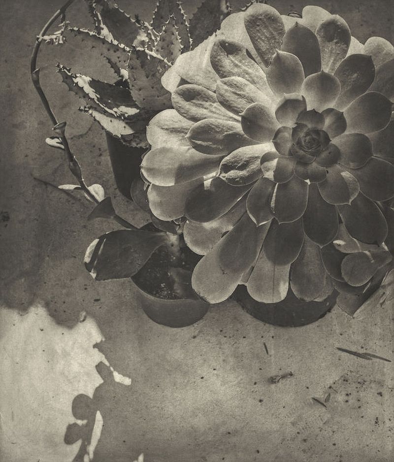 16 Jim Dine Entrada Drive 2001