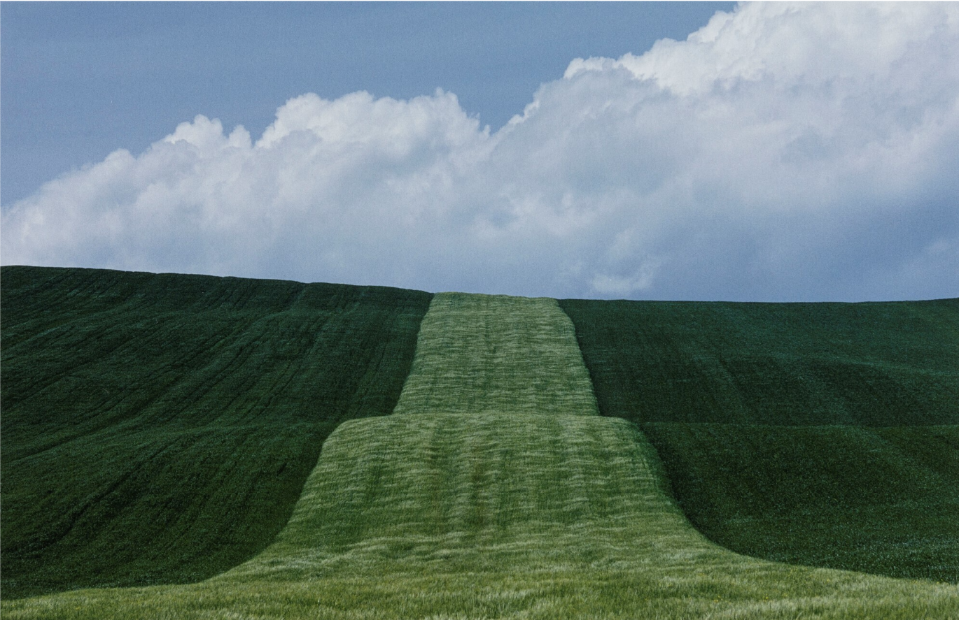 10 Paesaggio Basilicata 1985 Franco Fontana