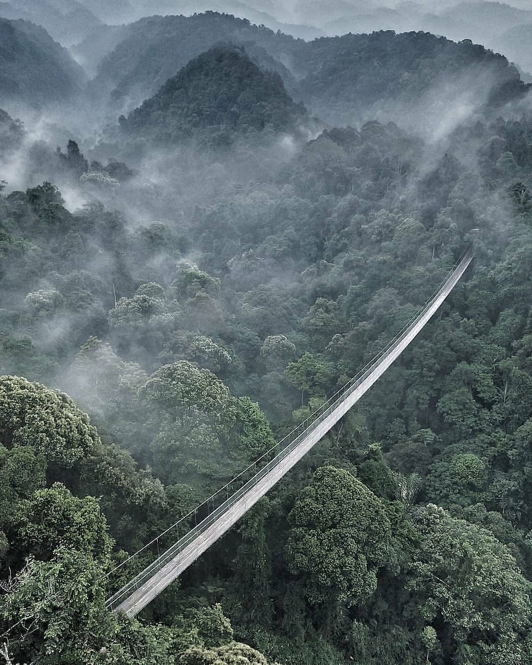 28 Suspensions bridge Situ Gunung Java Indonésie DR