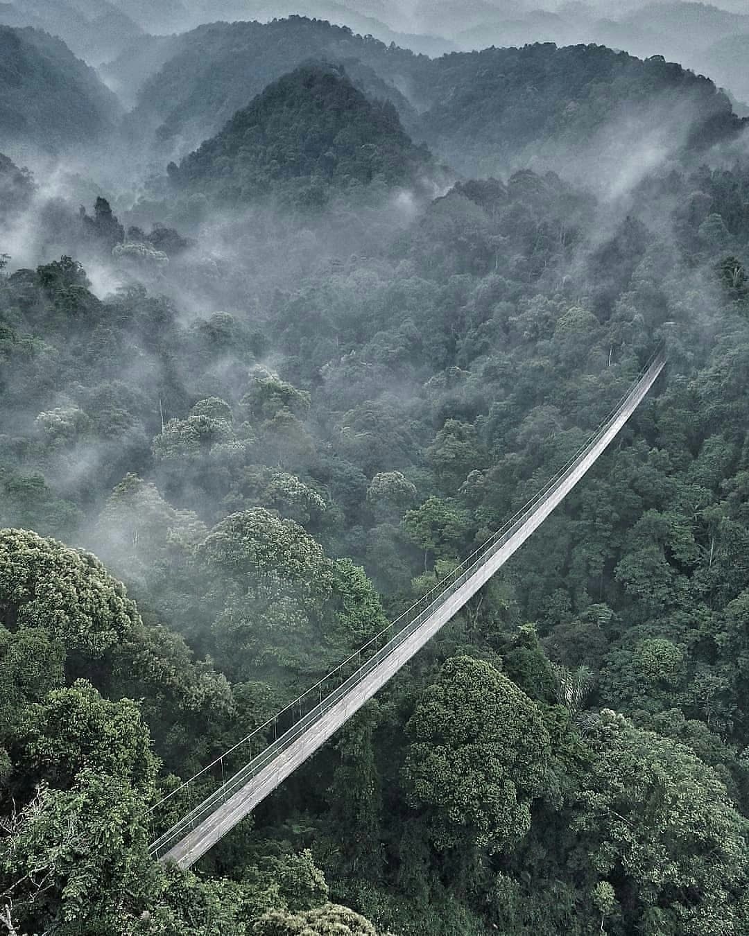 28 Suspensions bridge Situ Gunung Java Indonésie DR