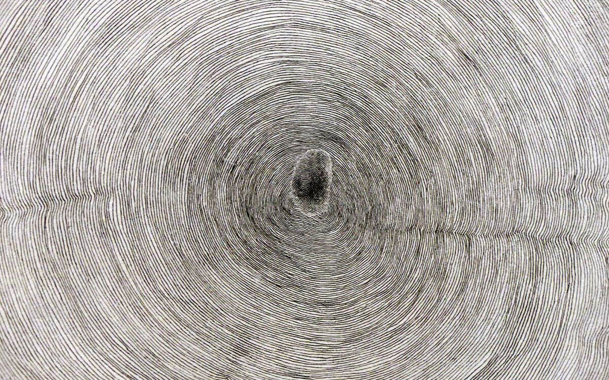 23 Propagation 1994 96 Giuseppe Penone