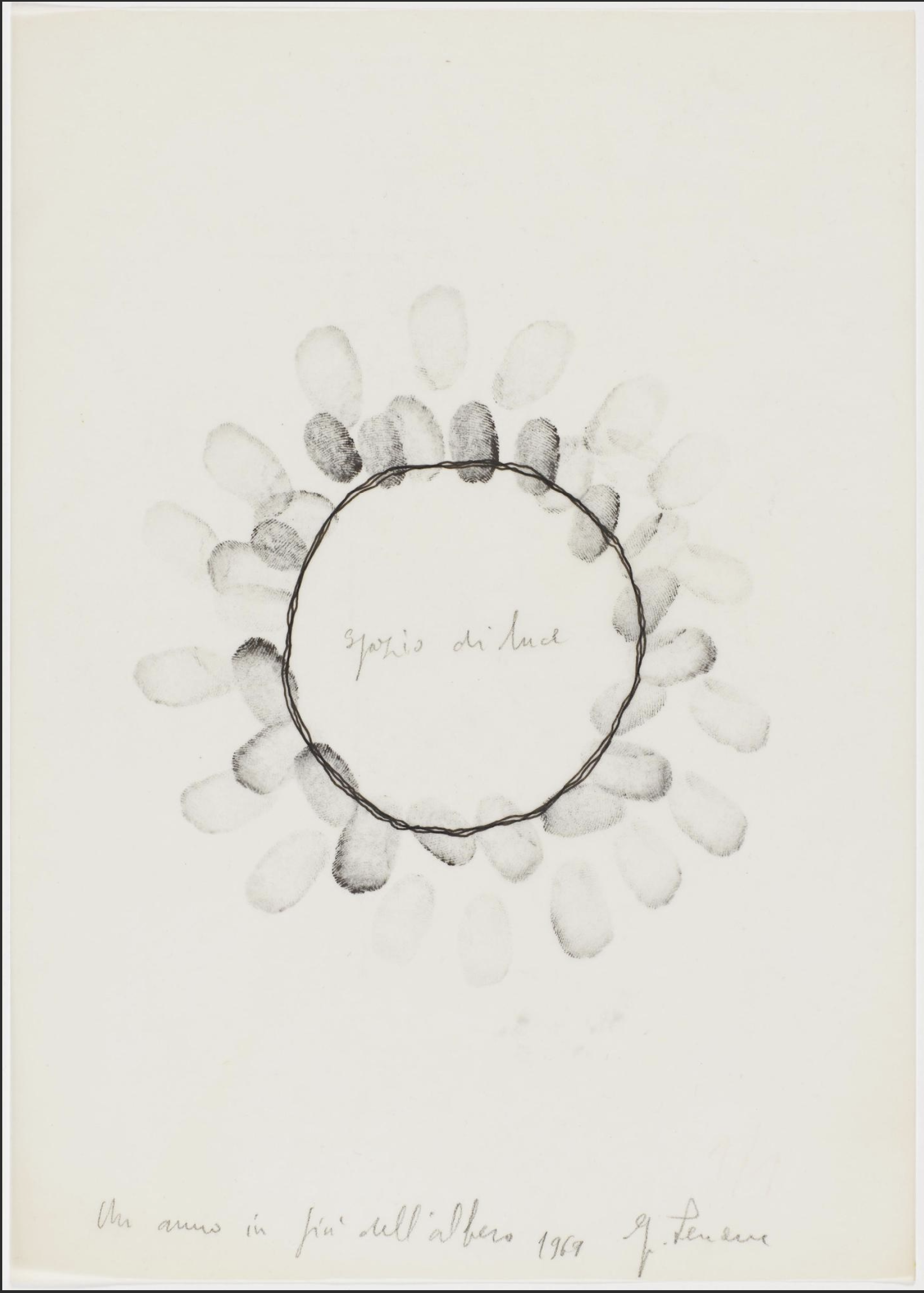 24 Un anno in piu dellalbero Giuseppe Penone