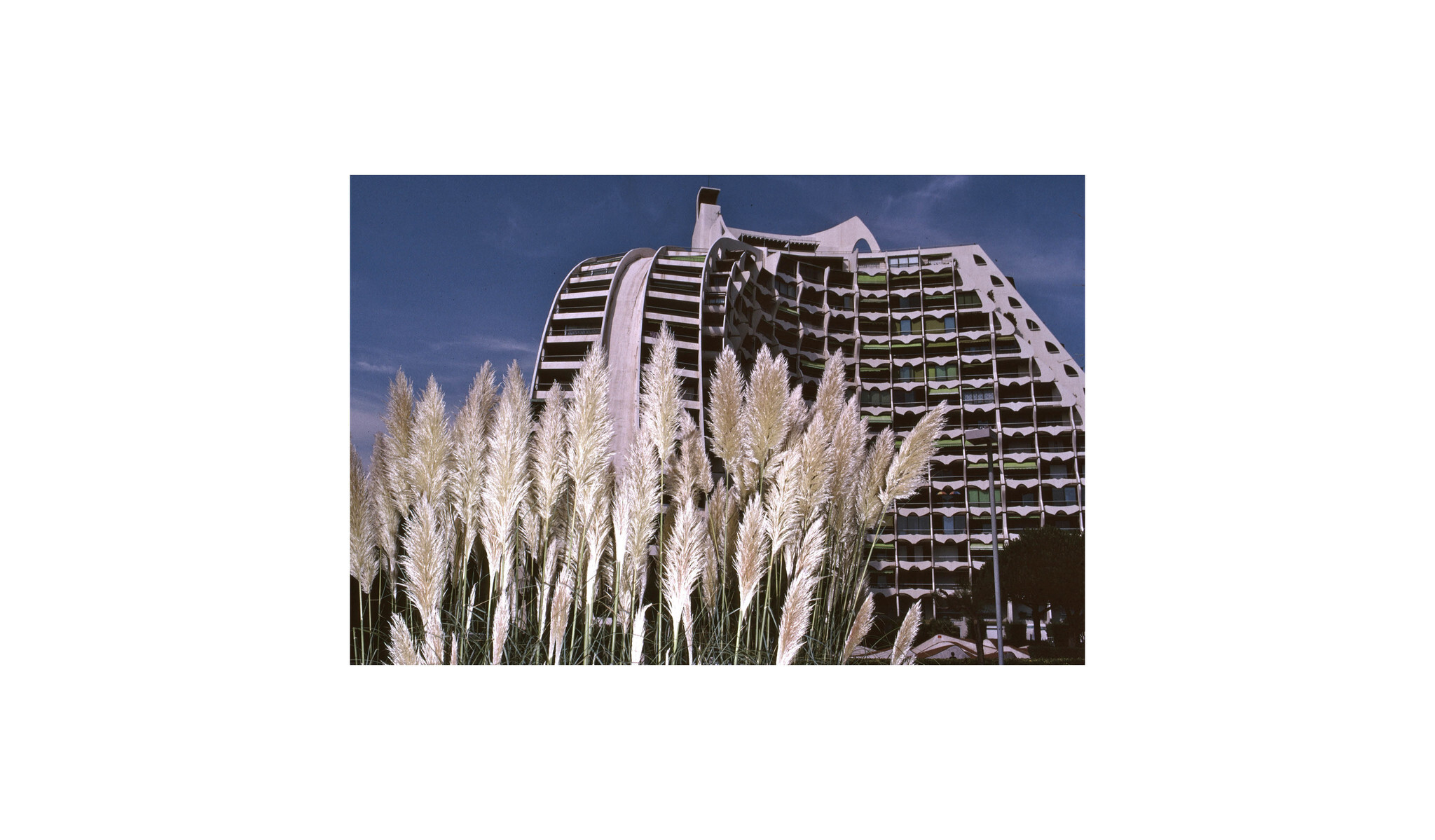 CHARLES PETIT PHOTOS11