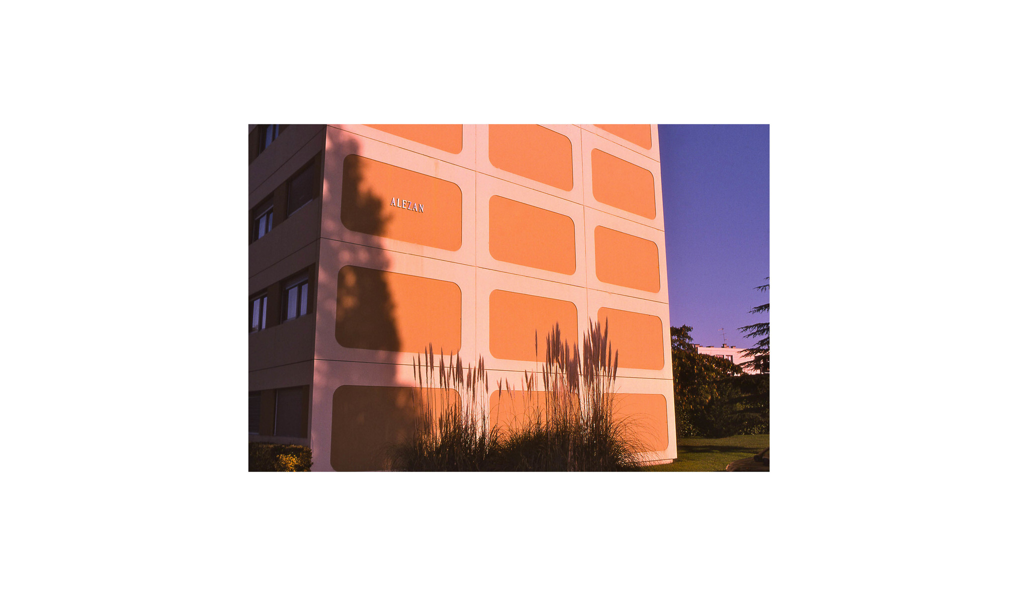 CHARLES PETIT PHOTOS29