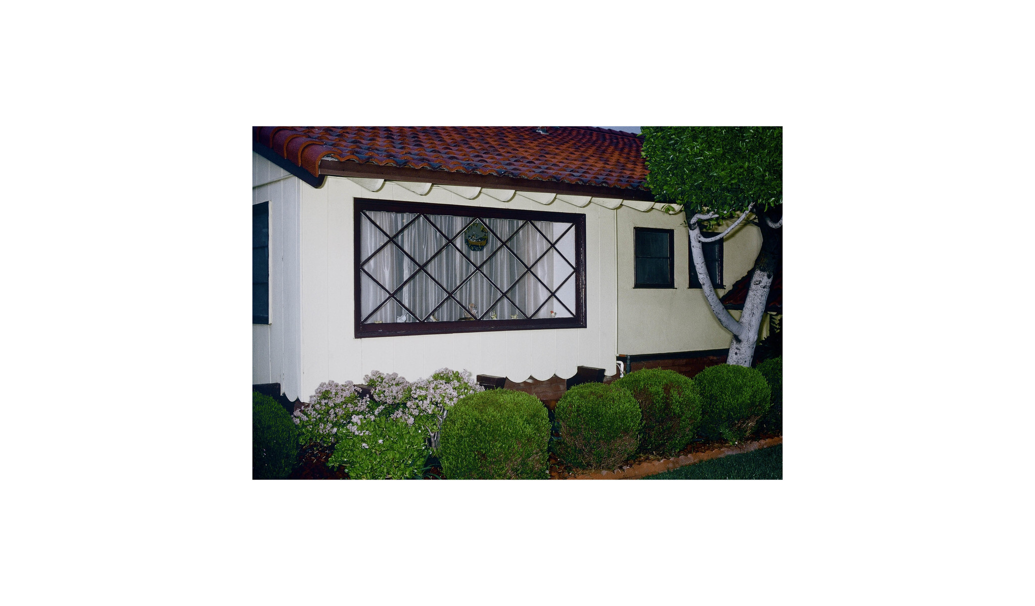 CHARLES PETIT PHOTOS3