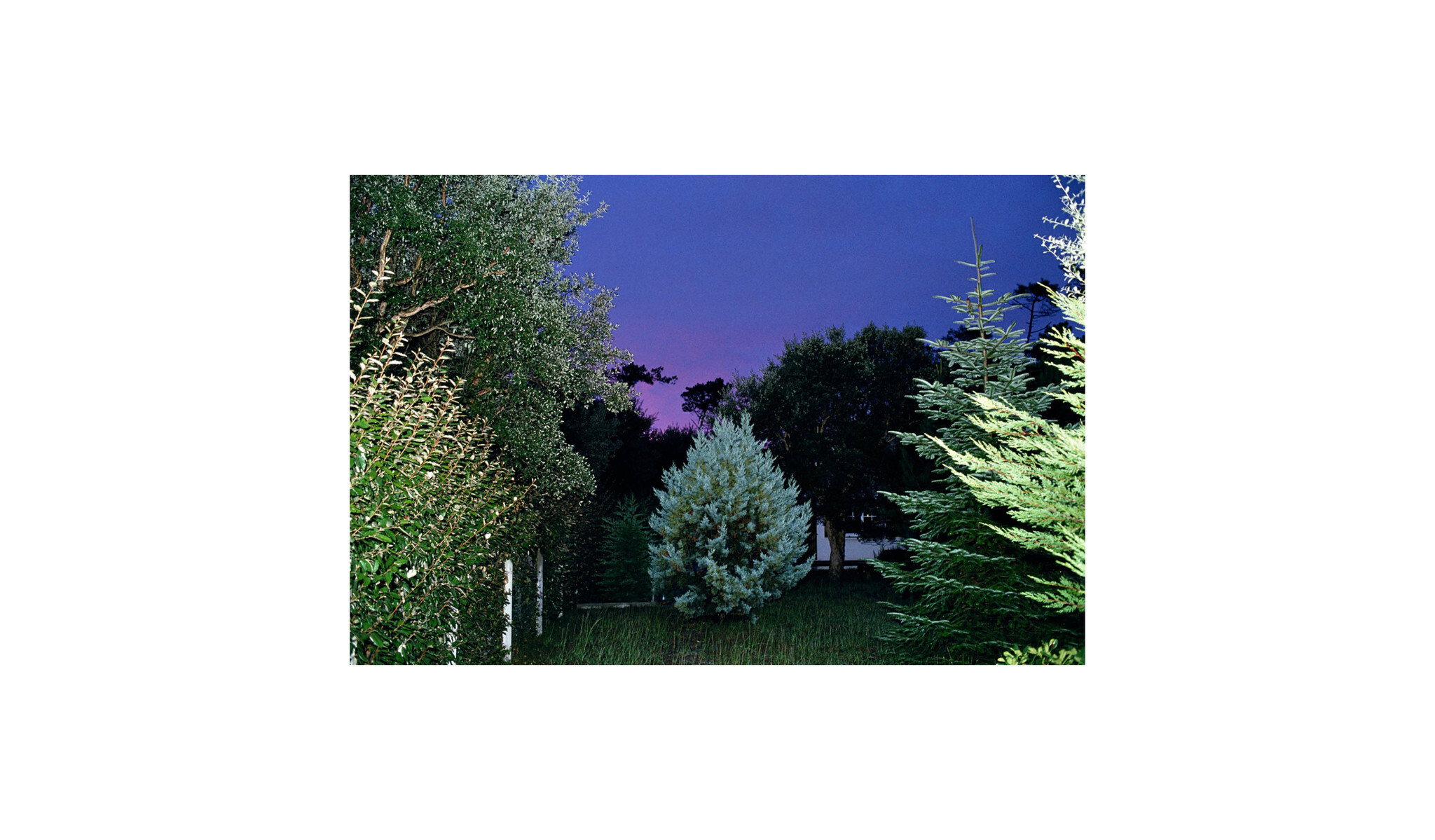 CHARLES PETIT PHOTOS30