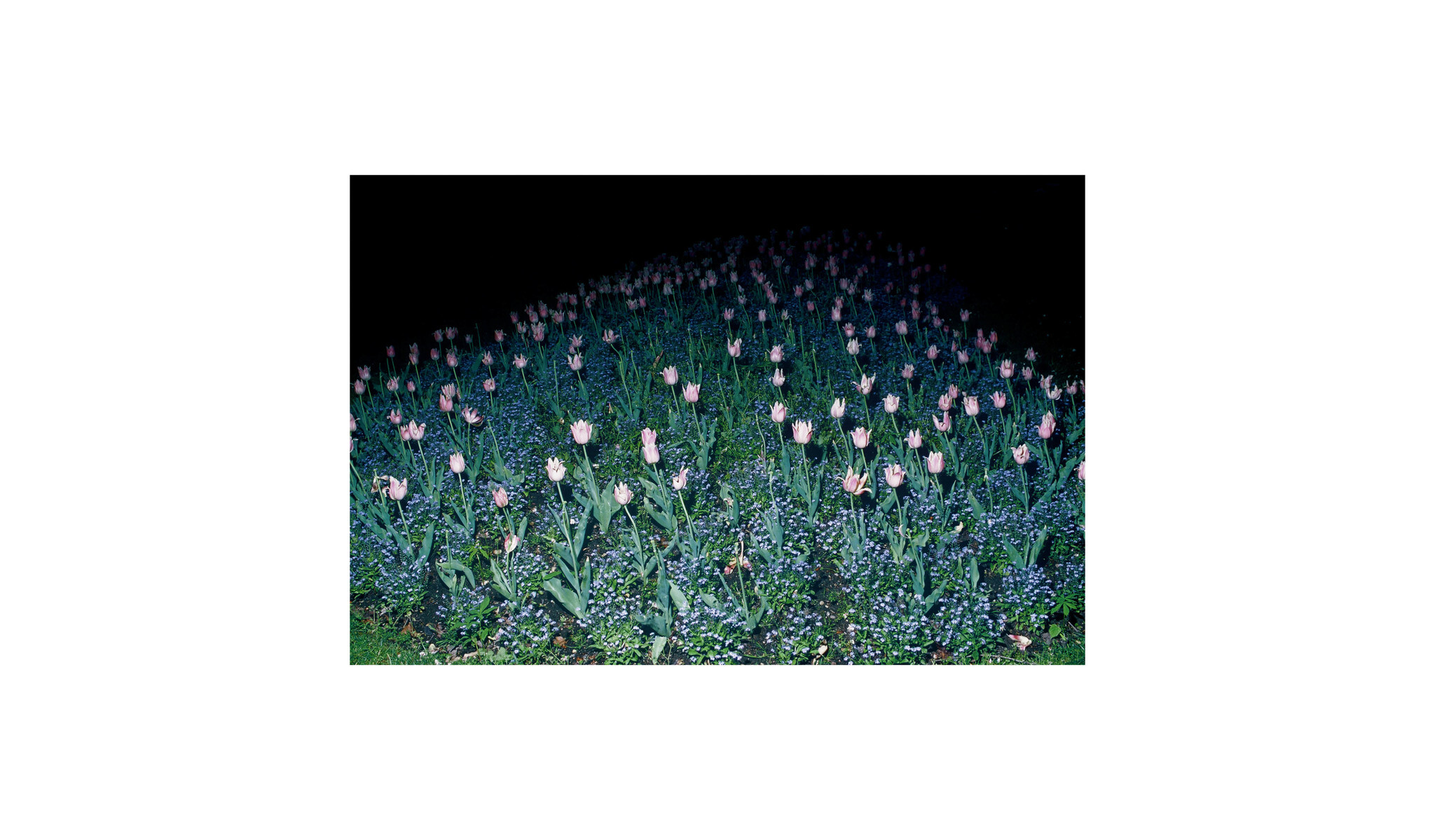 CHARLES PETIT PHOTOS5