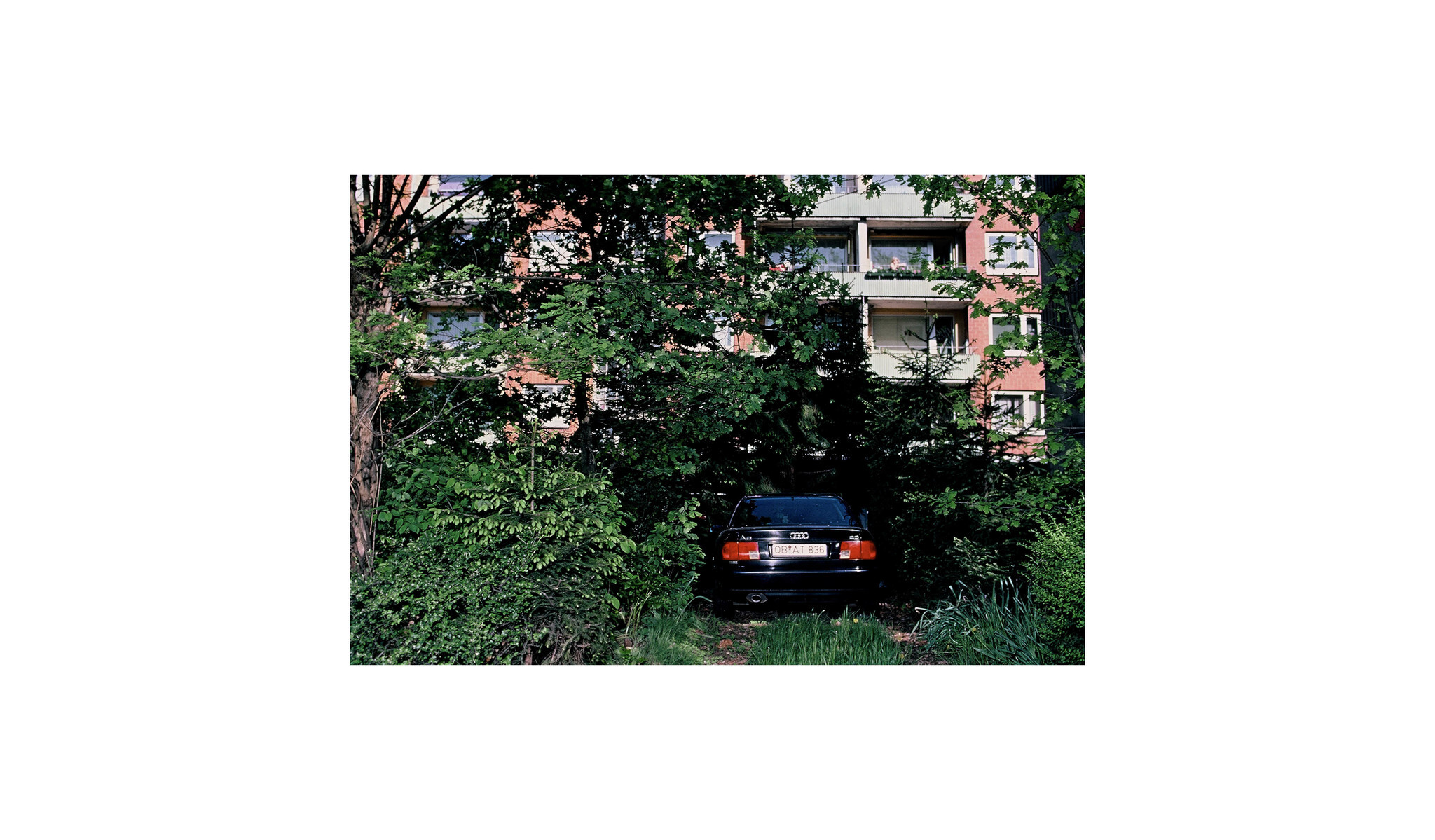 CHARLES PETIT PHOTOS8