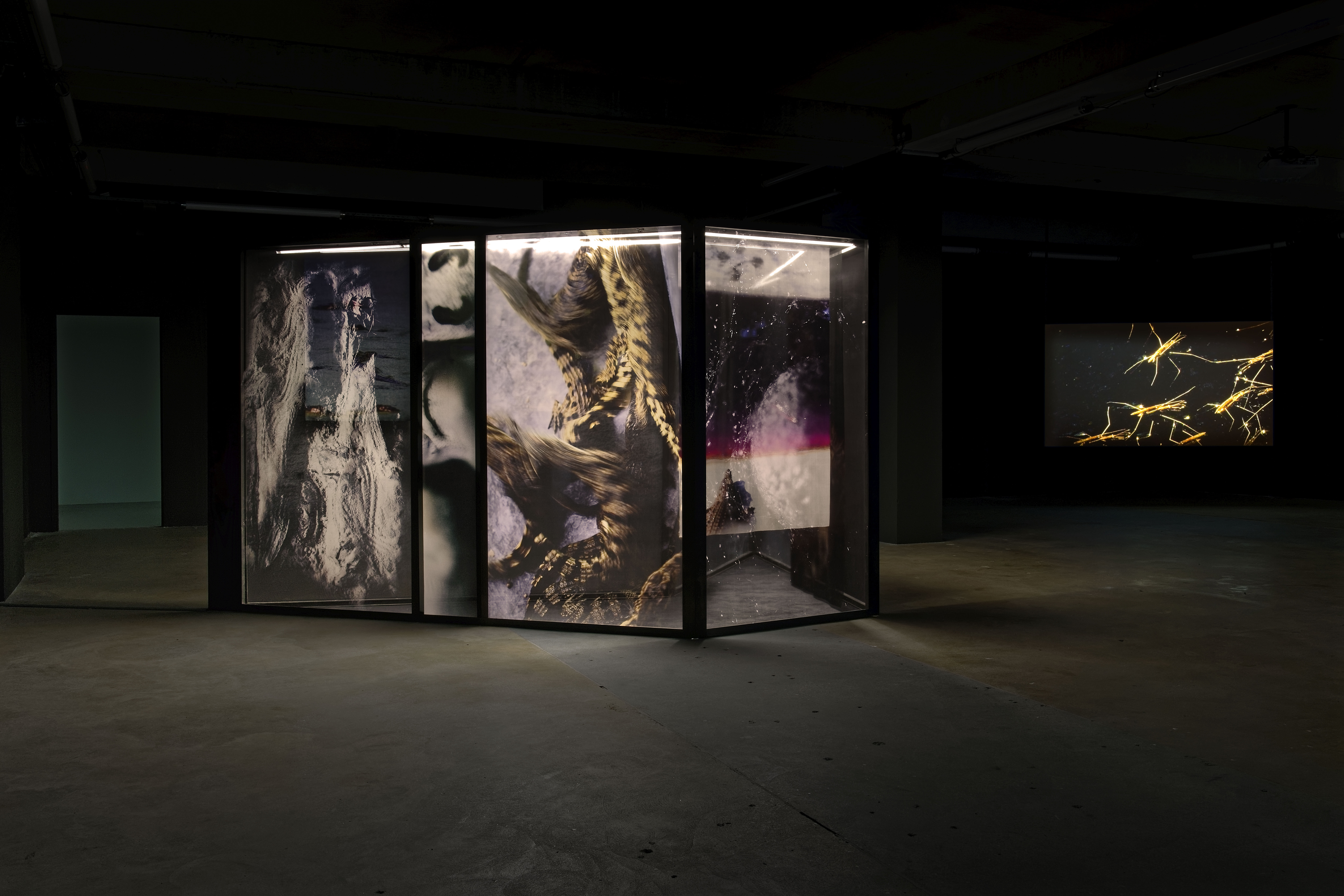 1cap st fons blaiseadilon