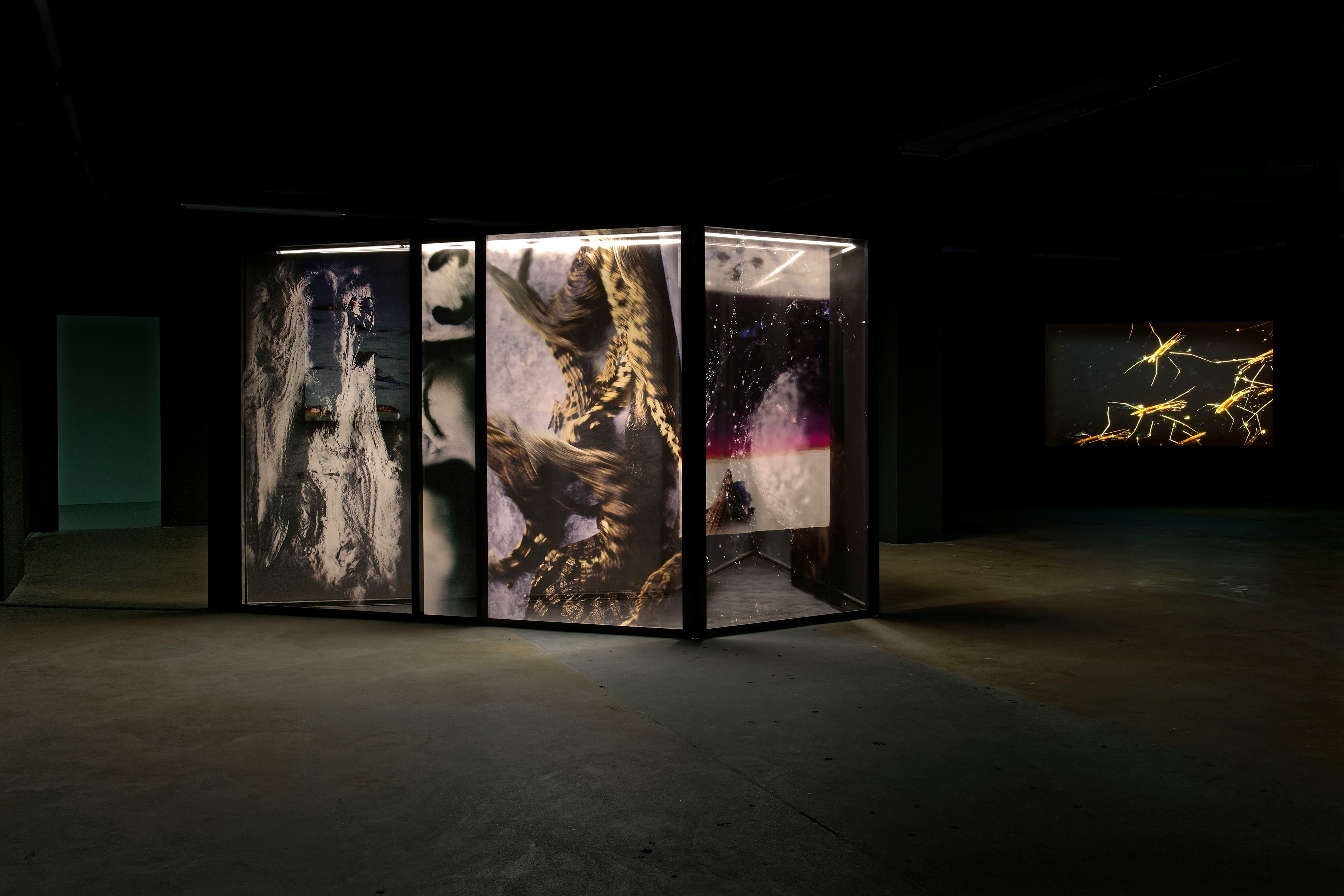 1cap st fons blaiseadilon