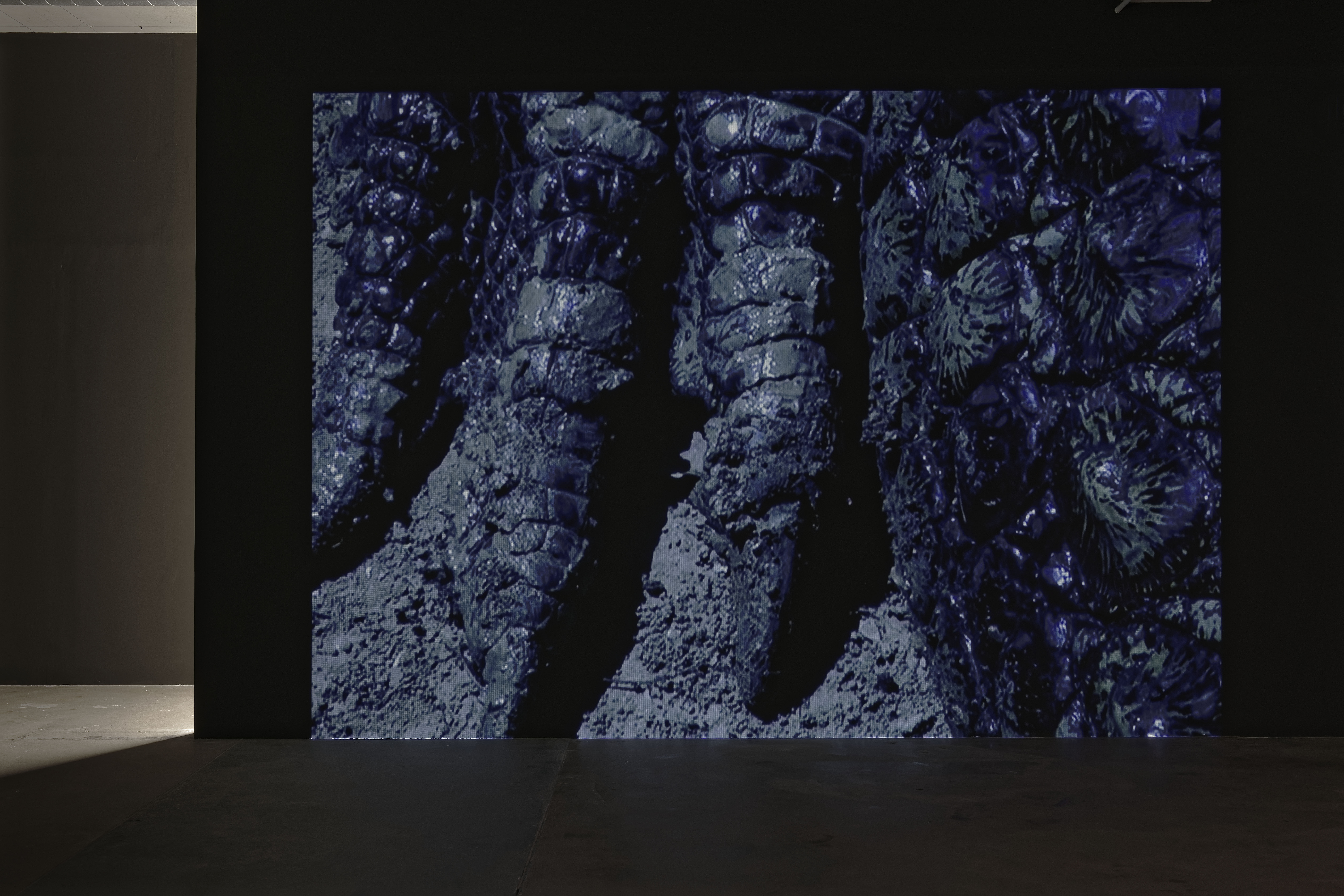 2cap st fons blaiseadilon