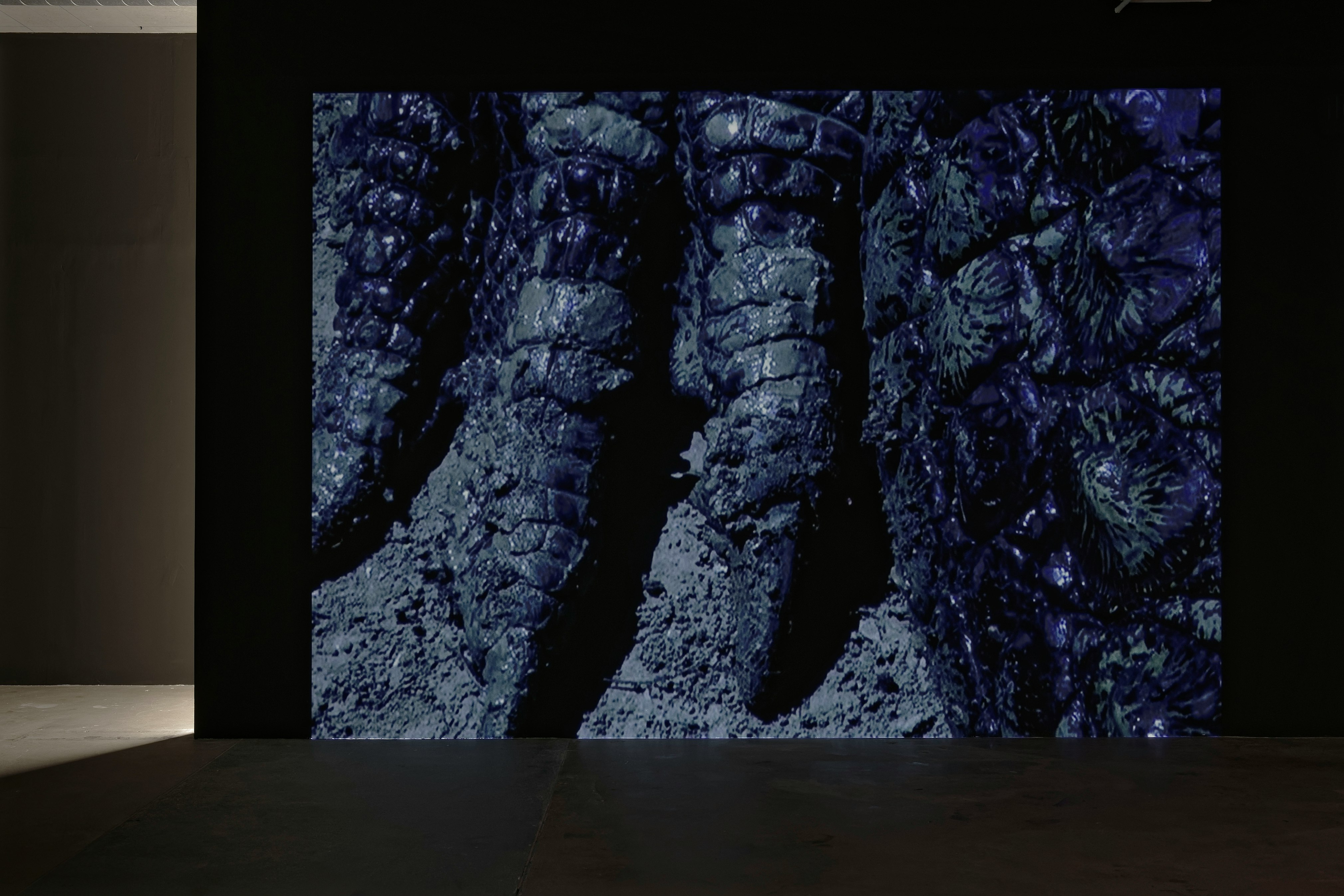 2cap st fons blaiseadilon