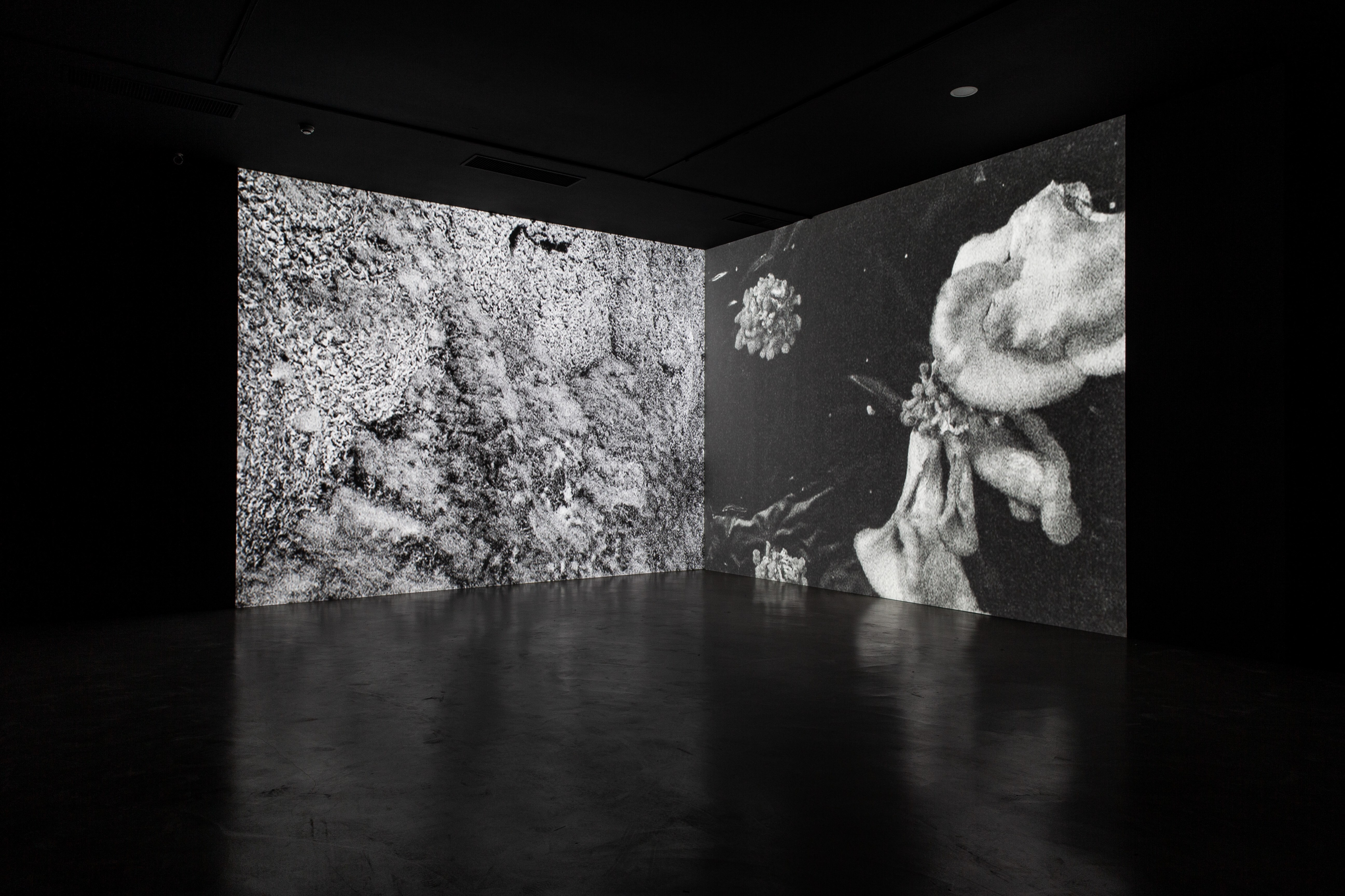 Taipei Fine Arts Museum Biennale de Taipei