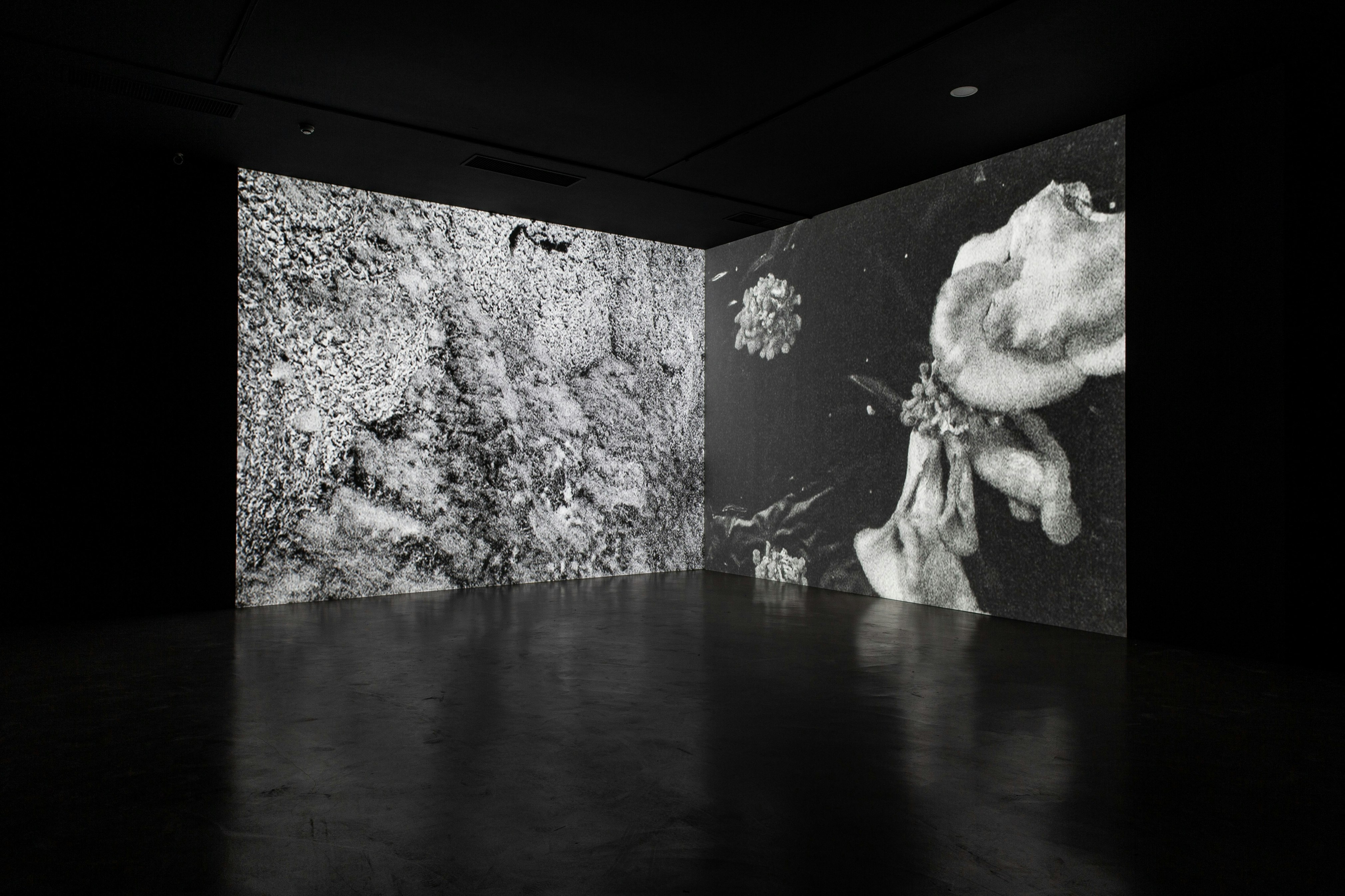 Taipei Fine Arts Museum Biennale de Taipei