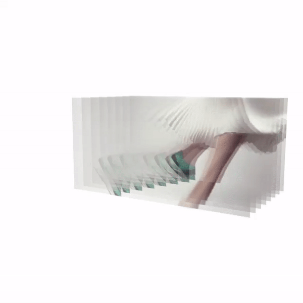 32 La Tour d Argent DR