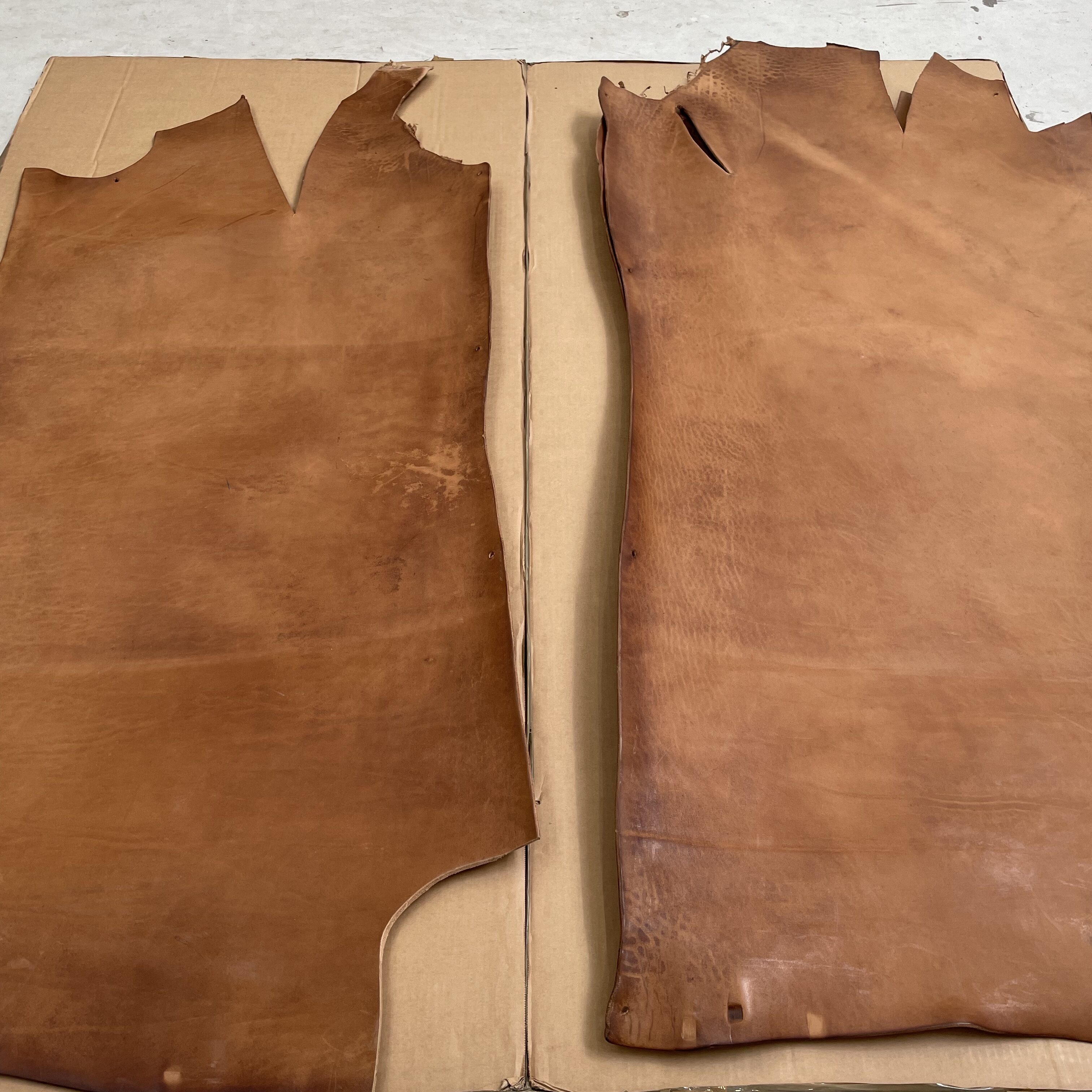 40 Chantier de la Grande Arche Franklin Azzi IMG 0806